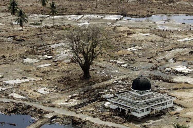 Foto masjid yang menjadi satu-satunya bangunan utuh di wilayah Meulaboh yang diambil pada 2 Januari 2005, menjadi salah satu foto yang paling diingat Eugene Hoshiko, fotografer Associated Press yang meliput tsunami Aceh. Tsunami meluluhlantakkan Aceh pada 26 Desember 2004