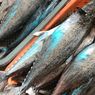 Update Corona 20 Agustus 2022: Ikan Laut di China Wajib Dites Covid-19