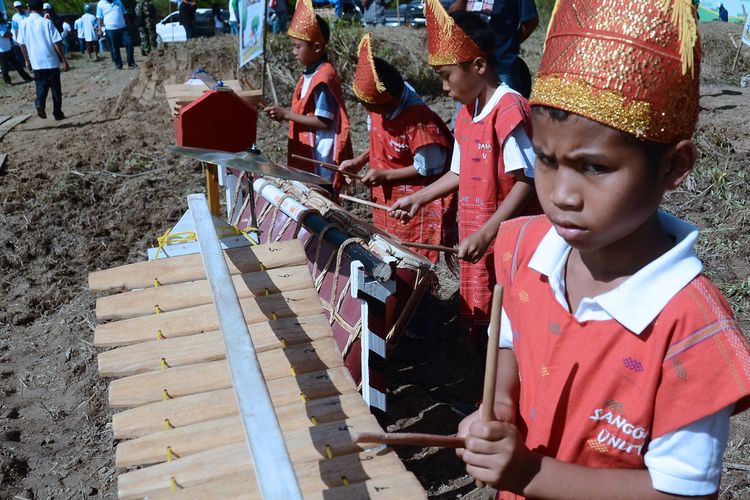 Alat Musik Tradisional Sumatera Utara 