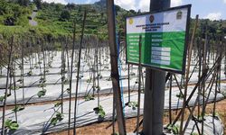 Bangun Ketahanan Pangan Masyarakat, BKP Kementan Bentuk Pertanian Keluarga