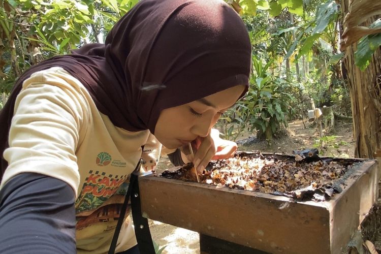 Cuma Rp 5.000, Wisatawan Bisa Cicipi Madu Langsung dari Sarang di Kampung Adat Kuta