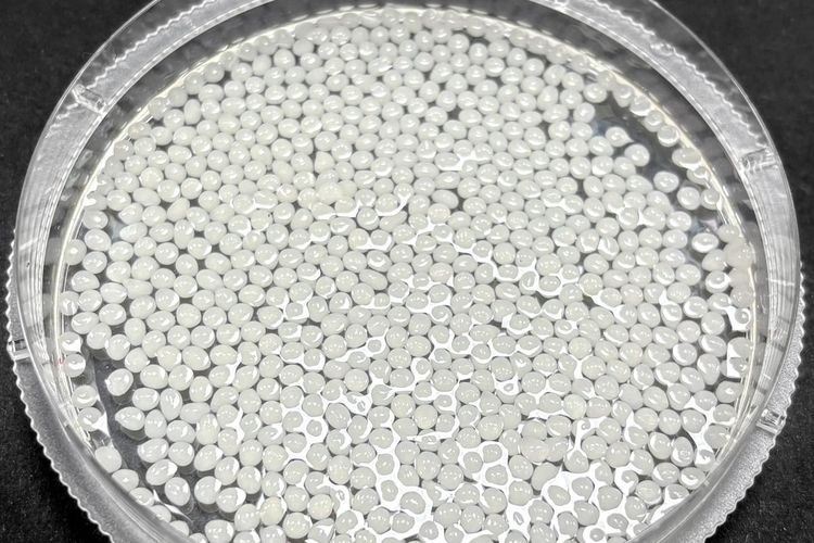 Mikrobead berbasis tumbuhan ini menyerap dan memerangkap lemak. 