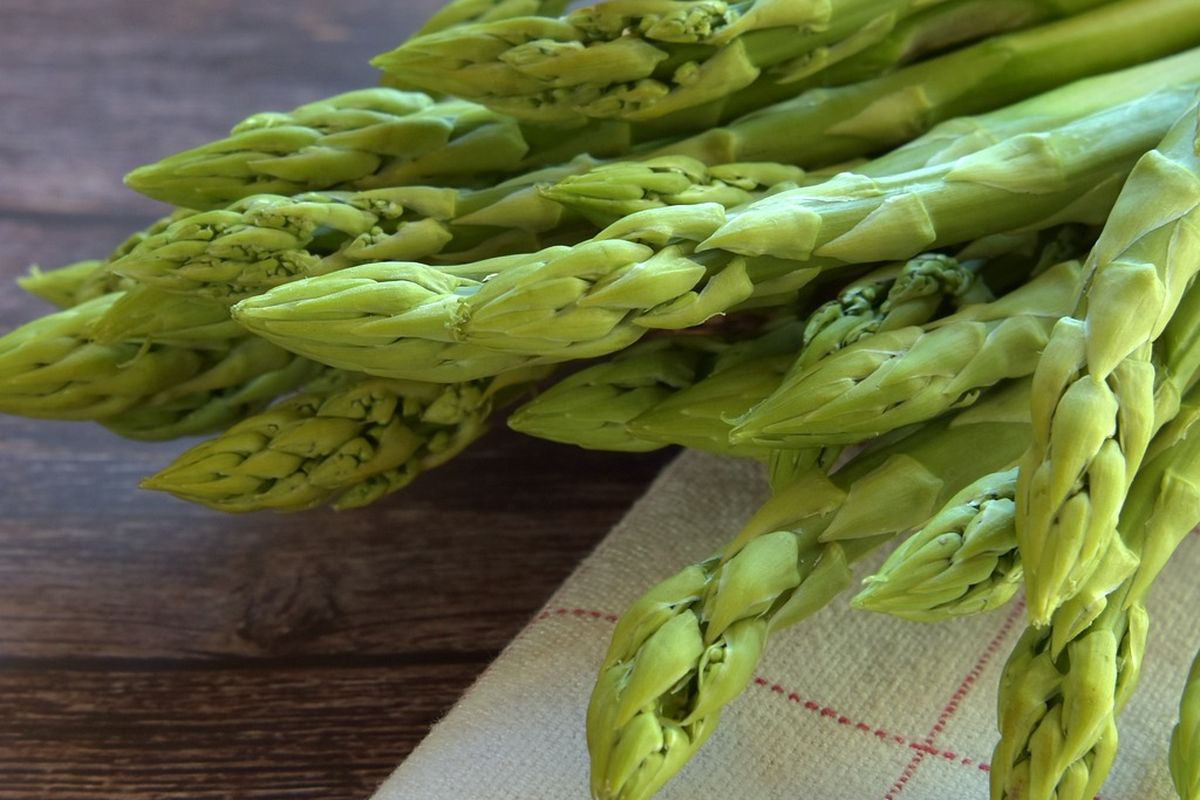 Ilustrasi asparagus. 