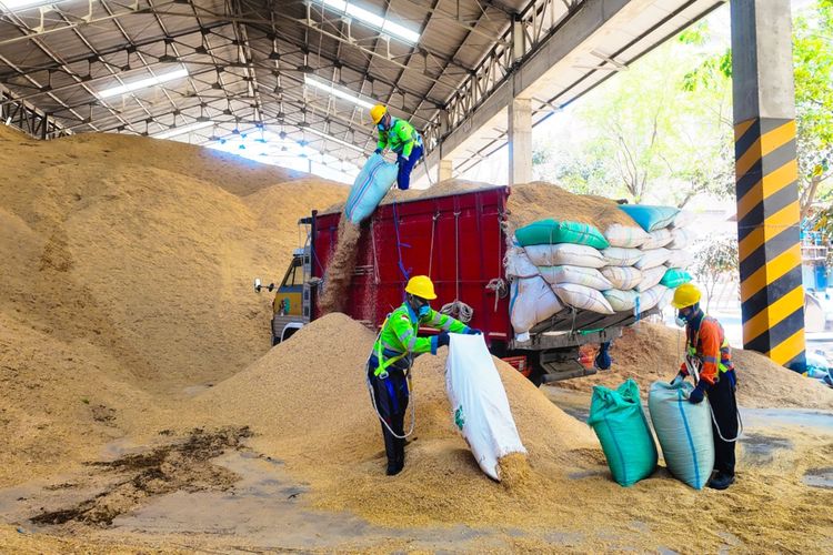 Semen Indonesia Manfaatkan 400 Ton Sekam Padi Per Hari sebagai Bahan Bakar Pabrik