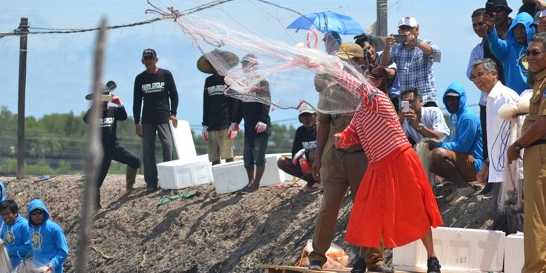 Menteri Kelautan dan Perikanan RI, Susi Pudjiastuti, saat melempar jala ketambak udang petani di Kolaka, Sulawesi Tenggara