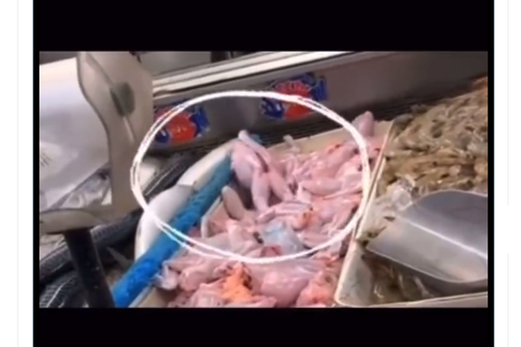 Tangkapan layar video yang menampilkan daging atau bagian tubuh hewan bergerak padahal sudah siap diolah