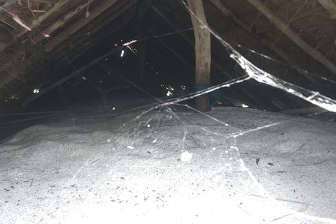 Petani Merana 3 Tahun Berton-ton Garam Mengendap di Gudang Dipenuhi Sarang Laba-laba