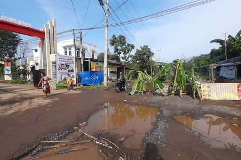 Jalan Akses Terminal Pakupatan Serang Rusak, Warga Tanami Pohon Pisang