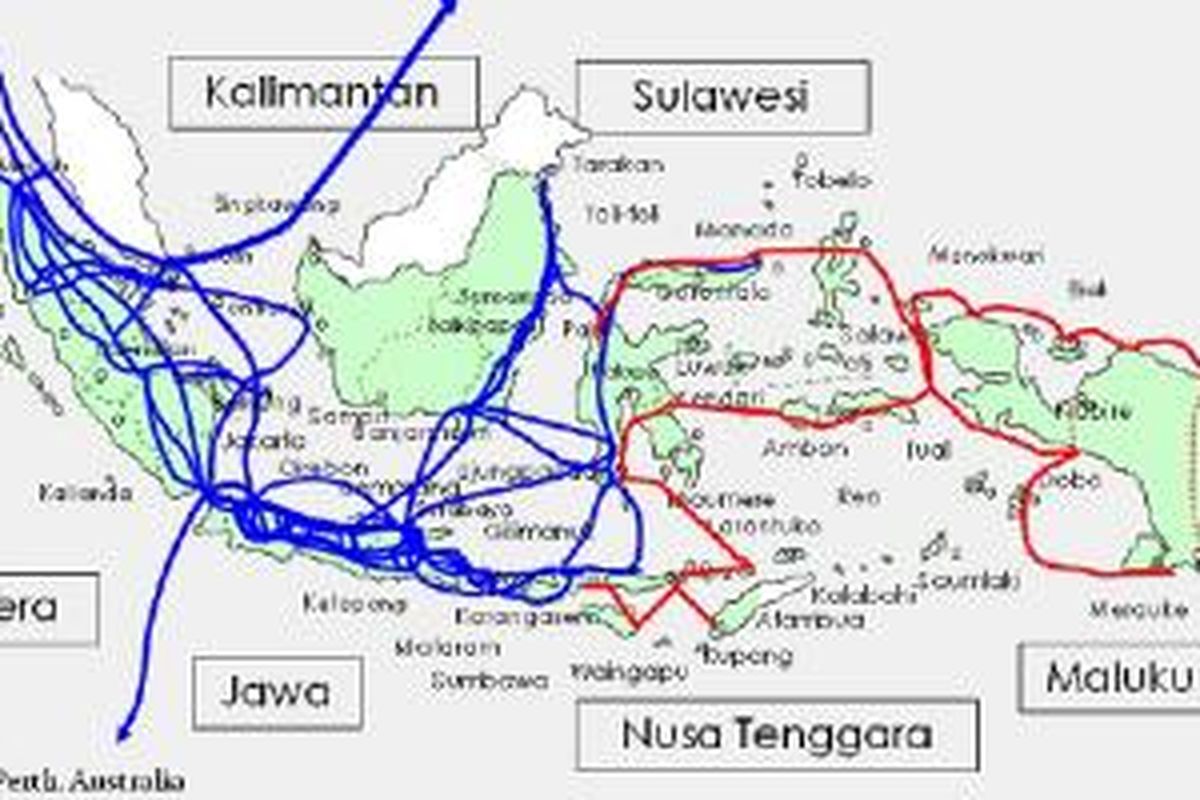 Peta jangkauan proyek kabel optik bawah laut, Palapa Ring II.