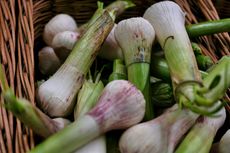 Cara Membuat Perangkap Ulat dan Keper untuk Tanaman Bawang Merah