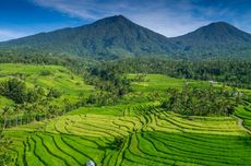 Subak, Kearifan Lokal Bali untuk Kelola Air yang Terjaga Ribuan Tahun