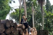 jalan jalan ke china tanpa tour Healing Murah Meriah ke Taman Langsat, Bisa Ngapain Aja?