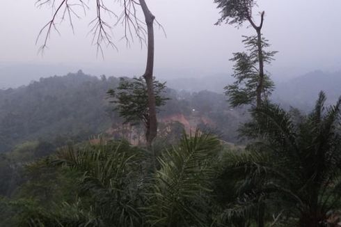 Kabut Asap Riau Sampai ke Bengkulu