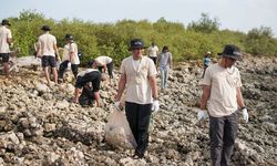 Petrokimia Gresik Tanam 2.000 Bibit Mangrove dan Bersih-Bersih Pantai