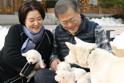 Semenanjung Korea Memanas, Nasib Anjing Hadiah dari Kim Jong Un Ikut Bermasalah