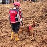 16 Meninggal dan 7 Masih Hilang, Operasi Pencarian Korban Longsor Cilacap Dihentikan karena Hujan Deras