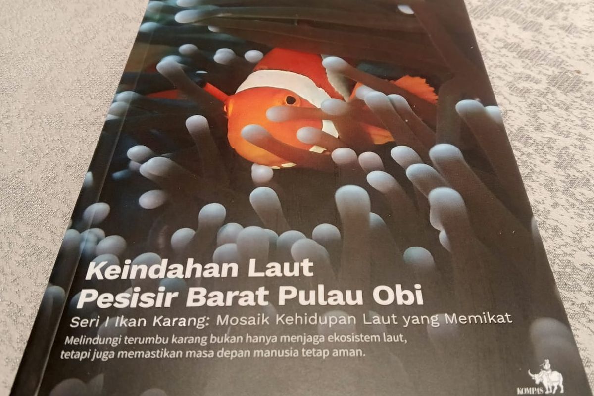 Di perairan sekitar Pulau Obi, Halmahera Selatan, Maluku Utara, tersimpan kekayaan ekosistem bawah laut yang indah.