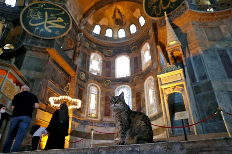 Dalam foto yang diambil pada 2 Juli 2020, nampak Gli Si Kucing berada di Hagia Sophia, Istanbul, Turki.