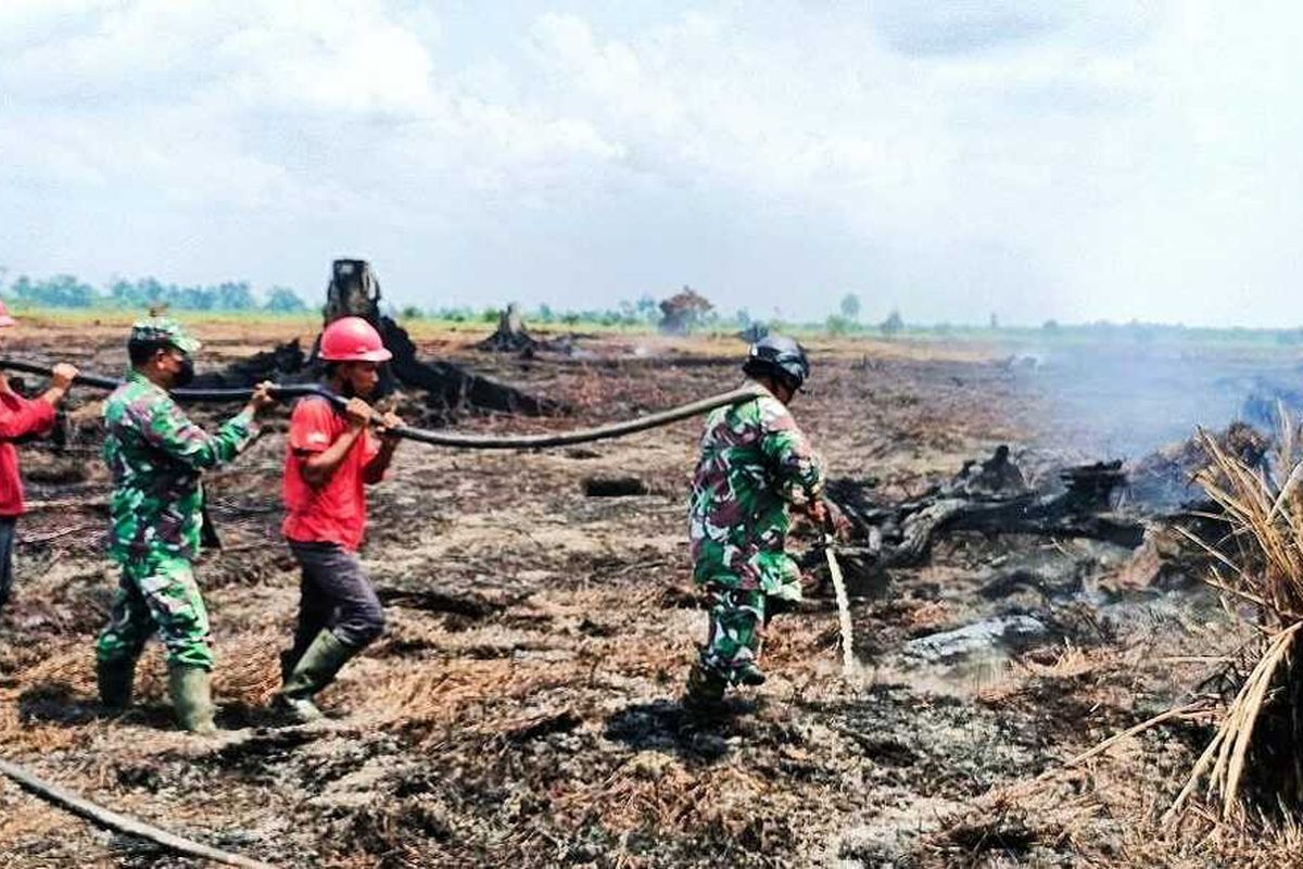 Prajurit TNI memadamkan api kebakaran lahan gambut di Desa Bonai, Kecamatan Bonai Darussalam, Kabupaten Rokan Hulu, Riau, Jumat (12/8/2022).