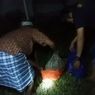 Anjing Membawa Mayat Bayi Dalam Kantong Kresek Hebohkan Warga Polewali Mandar