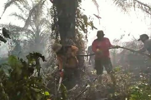 Tanah Gambut di Rupat Bengkalis Kembali Terbakar, Petugas Berjibaku Padamkan Api