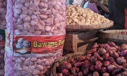 Kurangi Impor, Pengembangan Komoditas Substitusi Harus Lekas Dilakukan