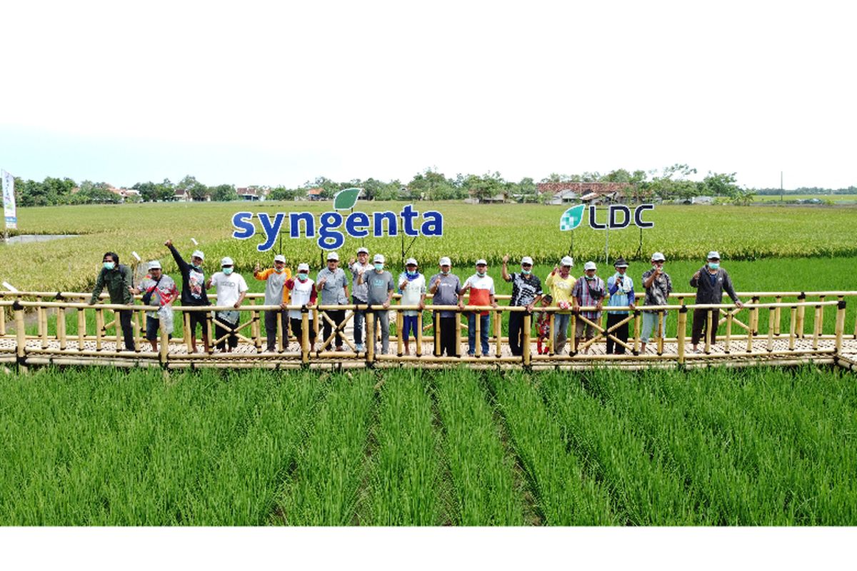 Learning Centers Syngenta telah membantu lebih dari 17.000 petani setiap tahun dalam meningkatkan kapabilitas, baik dalam pertanian berkelanjutan maupun penerapan teknologi IoT