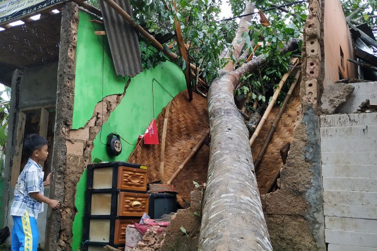 Seorang anak melihat-lihat rumahnya rusak tertimpa pohon tumbang di Kampung Bantarkaret, Desa Lembursawah, Cicantayan, Sukabuni, Jawa Barat, Jumat (22/2/2019).