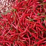 Harga Cabai di Pasar Tangsel Melonjak, Pedagang Sayur: Setiap Mau Bulan Puasa Selalu Begini