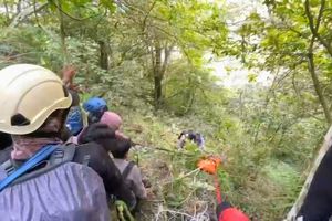 Perjuangan Tim SAR Evakuasi 2 Jenazah dari Gunung Piramid Bondowoso, Pakai Teknik Lowering dan Tandu Estafet