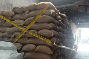 Dugaan Impor Ilegal Kacang Tanah Asal India Sudah 2 Kali Dikirim ke Jakarta Utara