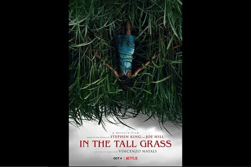 Sinopsis in The Tall Grass, Tersesat di Ilalang Tinggi