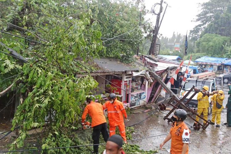 Sebuah pohon dan tiang listrik di Kampung Jembatan Dua, Kelurahan Karang Asem Barat, Kecamatan Citeureup, Kabupaten Bogor, Jawa Barat, tumbang diterjang angin kencang pada Sabtu (5/3/2022) sore.