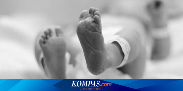 Bayi Laki-laki dengan Ari-ari Ditemukan di Pinggir Jalan Raya Ragunan Jaksel - Vimarsana News