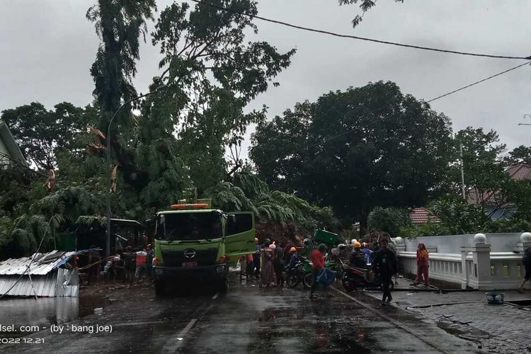 Hujan deras disertai angin kencang, pohon berukuran besat di depan Lapangan Tennis Hasanuddin Jl Sungai Lariang, Kecamatan Ujung Pandang, Kota Makassar timpa 5 orang, Jumat (23/12/2022) siang.