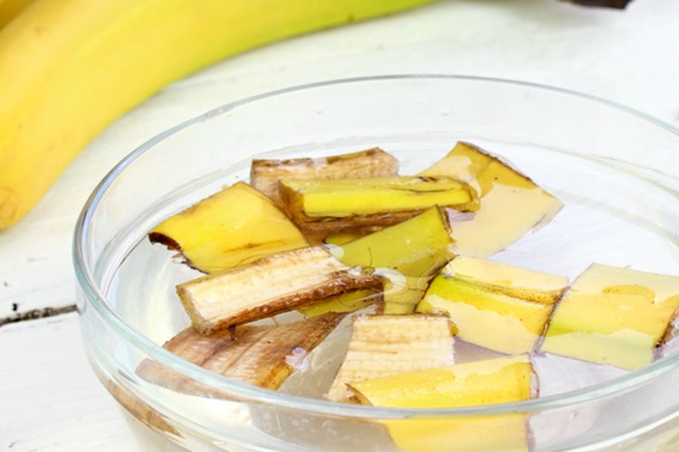 Ilustrasi pembuatan pupuk dari kulit pisang