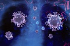 Studi: Faktor Genetik Berpengaruh terhadap Infeksi Virus Corona