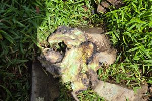 Badan dan Ekor Pesawat ATR 42-500 Ditemukan di Lereng Selatan Puncak Gunung Bulusaraung