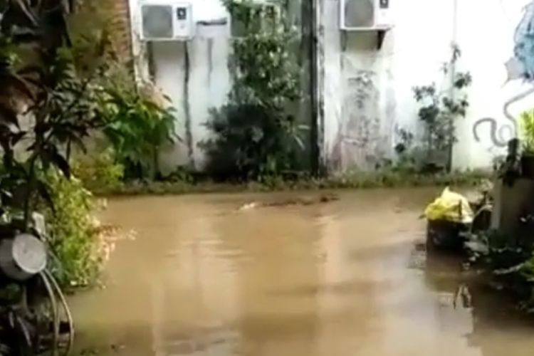 Buaya berukuran 1,5 meter muncul di pemukiman warga di Sangatta saat banjir
