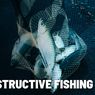 Mengenal Destructive Fishing dan Dampaknya