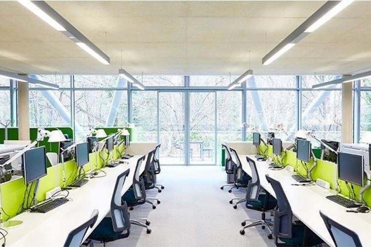 Aplikasi lampu ultraviolet-C (UV-C) di ruang kerja kantor menggunakan Philips UV-C disinfection linear luminaire with sensor. Luminer ini dilengkapi dengan mirror optics yang didesain khusus untuk memangkas iradiasi UV-C di luar jangkauan sensor untuk keamanan pengguna. (Dok. Signify)