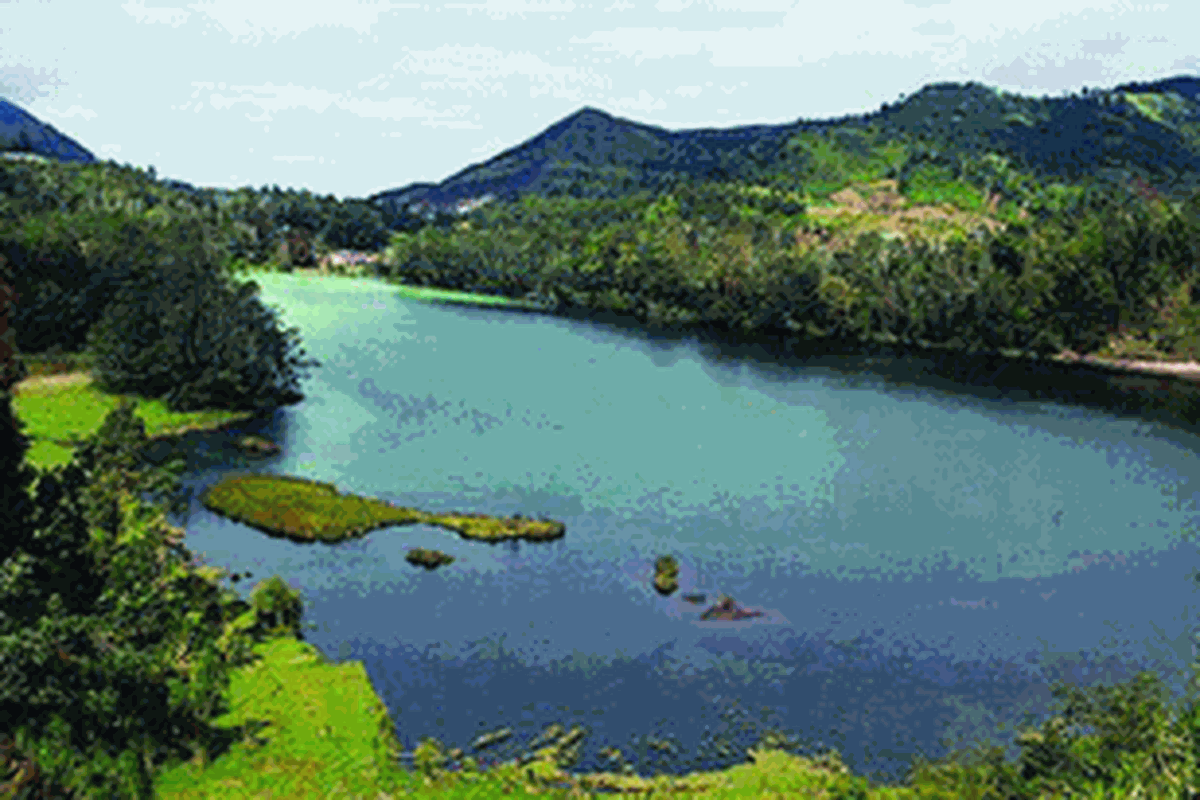 Panorama Telaga Warna di Dataran Tinggi Dieng, Kabupaten Wonosobo, Jawa Tengah, saat pagi hari dari bukit di sekitarnya. Wonosobo merupakan salah satu destinasi wisata romantis di Jawa Tengah yang menyimpan beragam obyek wisata alam dan budaya.