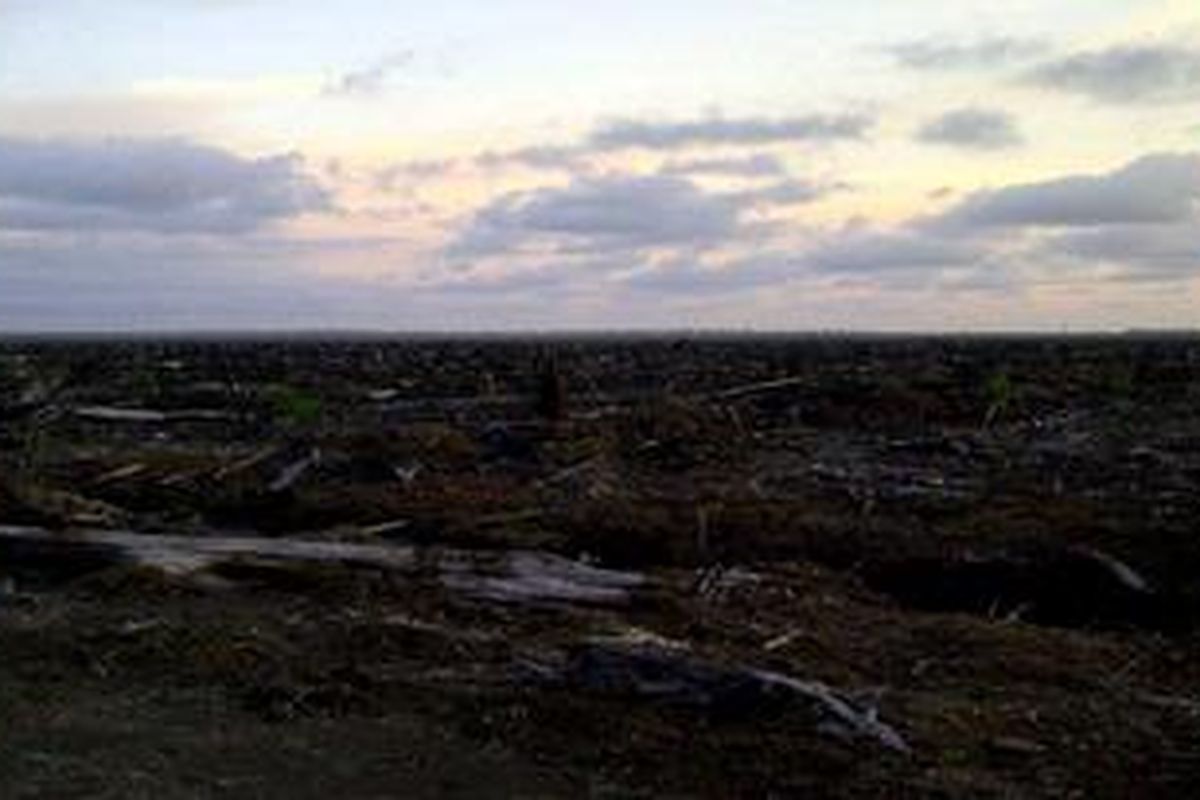 Kehancuran Rawa Tripa.