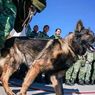 Tim SAR Beri Penghormatan unuk Proteo, Anjing Penyelamat Korban Gempa Turkiye