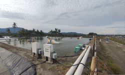 Sistem Budi Baya Udang Berkelanjutan di Donggala Dilirik Investor Jepang