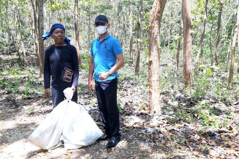 Suku Baduy Bantu Tangkap Puluhan Monyet Ekor Panjang di Gunungkidul