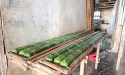 Pelemahan Rupiah dan Ujian bagi Ketahanan Pangan Indonesia
