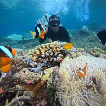 Destinasi wisata Bangsring Underwater di Banyuwangi, Jawa Timur.