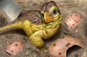 Cangkang Telur Dinosaurus Ungkap Usia Fosil dengan Lebih Presisi