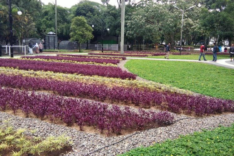 Bunga berwarna-warni menghampar di Taman Dewi Sartika, Balai Kota Bandung, Jalan Wastukancana. Taman tersebut resmi dibuka untuk umum mulai hari ini, Selasa (19/12/2017).